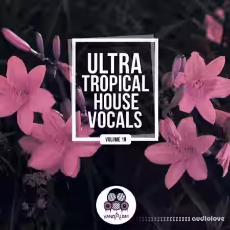 Vandalism Ultra Tropical House Vocals 18 [WAV] - Sample Pack Artwork