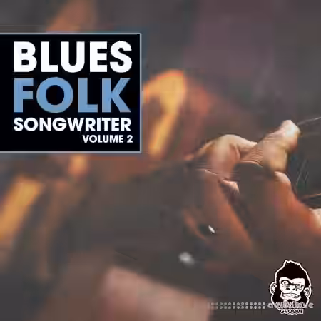 Vanilla Groove Studios Blues Folk Songwriter Vol.2 [WAV] - Sample Pack Artwork