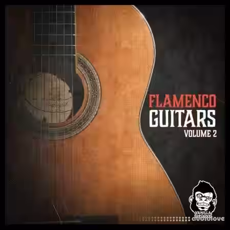 Vanilla Groove Studios Flamenco Guitars Vol.2 [WAV] - Sample Pack Artwork