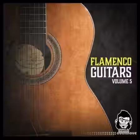 Vanilla Groove Studios Flamenco Guitars Vol.5 [WAV] - Sample Pack Artwork