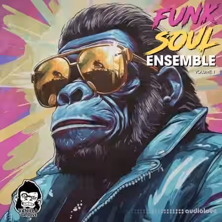 Vanilla Groove Studios Funk Soul Ensemble Vol 1 [WAV] - Sample Pack Artwork