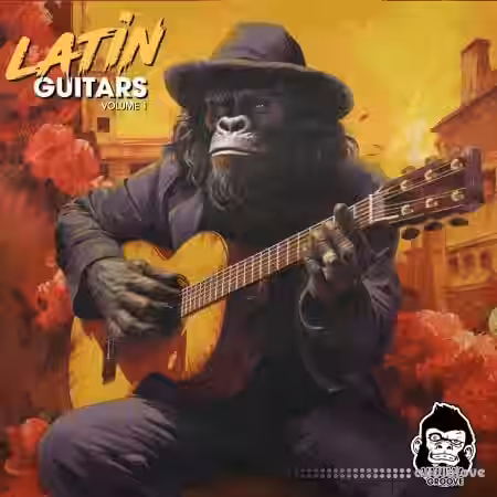 Vanilla Groove Studios Latin Acoustic Guitars Vol 1 [WAV] - Sample Pack Artwork