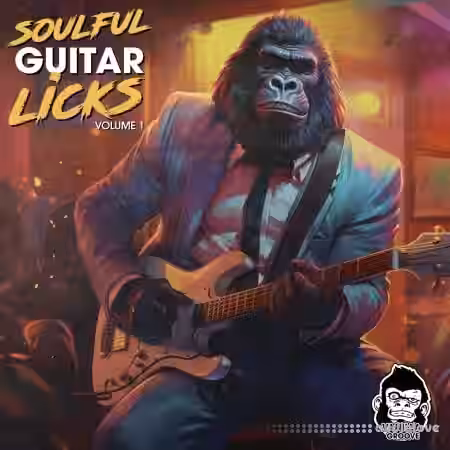 Vanilla Groove Studios Soulful Guitar Licks Vol 1 [WAV] - Sample Pack Artwork