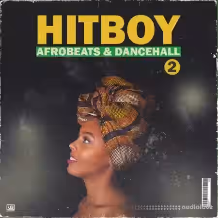 VBGotHeat HitBoy 2 Afrobeats and Dancehall [WAV, MiDi] - Sample Pack Artwork