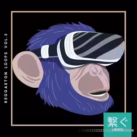 Veguzzi On The Beat Reggaeton Loops Vol. 3 [WAV] - Sample Pack Artwork