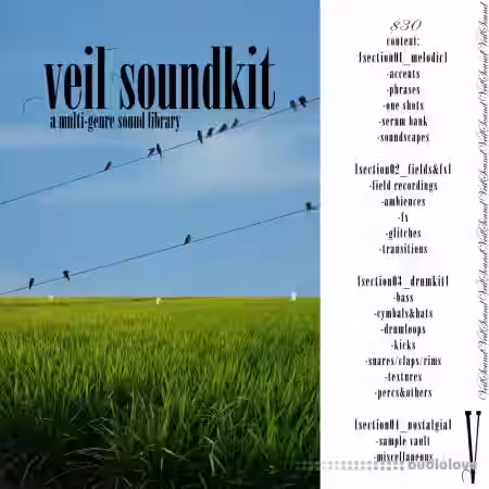 veil veilSoundkit [WAV] - Sample Pack Artwork