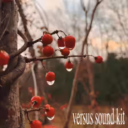 Versus Beats Versus Sound Kit [WAV] - Sample Pack Artwork