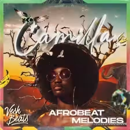 VeshBeats New AfroBeat Melodies [WAV] - Sample Pack Artwork