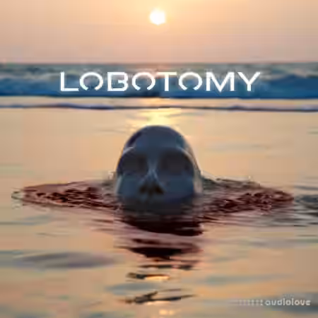 VGNs Components of a Lobotomy [WAV, MiDi, Synth Presets] - Sample Pack Artwork