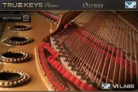 VI Labs True Keys German [Falcon] - Sample Pack Artwork