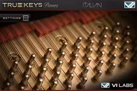 VI Labs True Keys Italian [Falcon] - Sample Pack Artwork