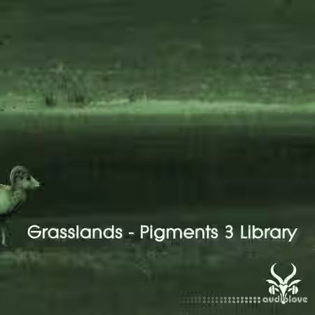 Vicious Antelope Grasslands Pigments 3 [Synth Presets] - Sample Pack Artwork