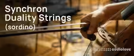 Vienna Symphonic Library Synchron Duality Strings Sordino Full for Synchron Player - Sample Pack Artwork