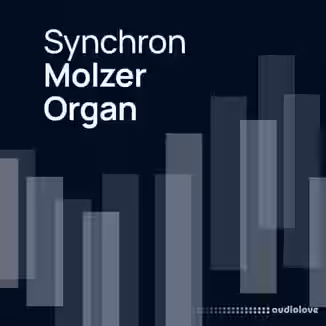 Vienna Symphonic Library Synchron Molzer Organ (Vienna Organ Player)