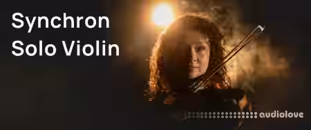 Vienna Symphonic Library Synchron Solo Violin 1 Standard for Synchron Player [Synth Presets] - Sample Pack Artwork