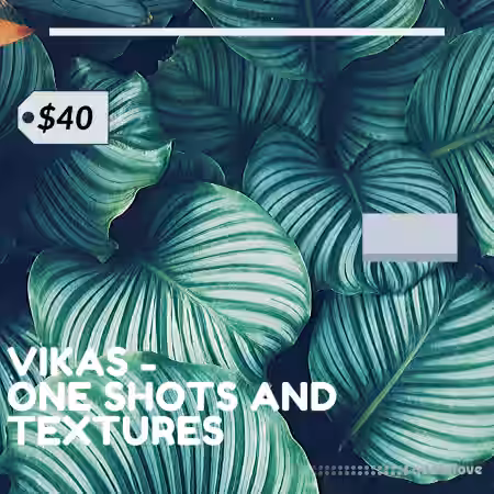 Vikas One Shots +Textures Vol.1 [WAV] - Sample Pack Artwork