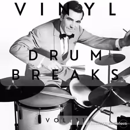 Vinyl Zen Vinyl Drum Breaks Vol.11 (22 Drum Breaks Perfectly Looped) [WAV] - Sample Pack Artwork