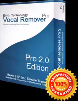 Vocal Remover Pro v2.0 [WiN]