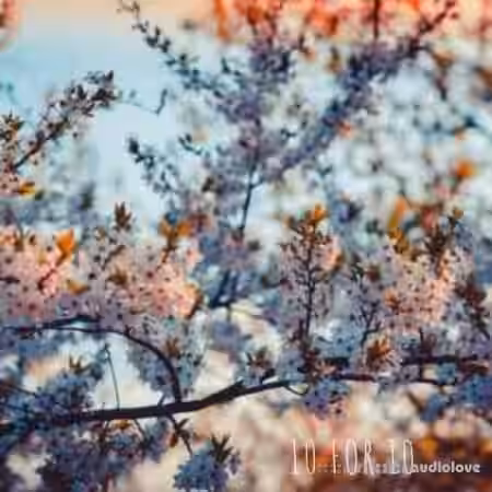 Voidproducedit 10 For 10 Trap Loops Vol.1 [WAV] - Sample Pack Artwork