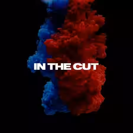 W6RST Tim Henson In The Cut Tabs + Backing Track - Sample Pack Artwork