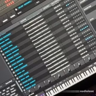 Warren Hunter Serum Bank 1 Serum 2 Presets [Synth Presets]