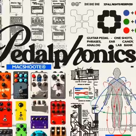Waves Crate Pedalphonics: Guitar Pedal Soundkit [WAV, Synth Presets] - Sample Pack Artwork