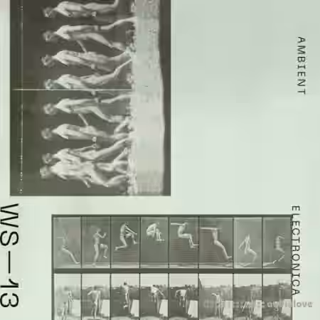 Wavetick Sounds Ambient Electronica [WAV, MiDi] - Sample Pack Artwork