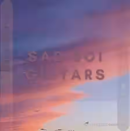 WAVS Kingdom Sad Boi Guitars [WAV] - Sample Pack Artwork