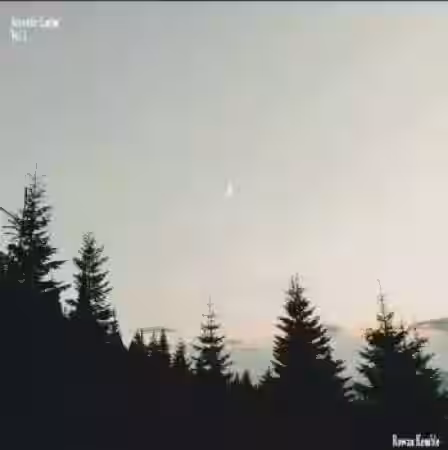 WAVS Rowan Kemble Acoustic Guitar Vol.1 [WAV] - Sample Pack Artwork