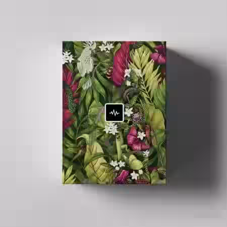 WavSupply JRHITMAKER Exotica (Midi Kit) [MiDi] - Sample Pack Artwork