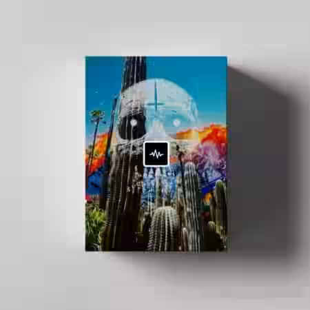 WavSupply KC Supreme Deja Vu Sample Kit (Stems + Midi) [WAV, MiDi] - Sample Pack Artwork