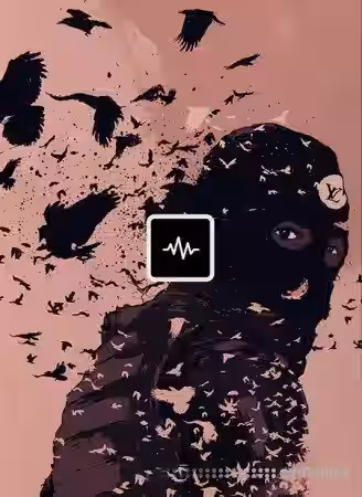 WavSupply KC Supreme Onyx (ElectraX Bank) [Synth Presets] - Sample Pack Artwork