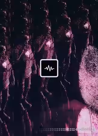 WavSupply Nick Mira Luna [Synth Presets] - Sample Pack Artwork