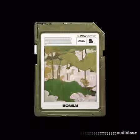 WavSupply nico baran Bonsai (Loop Kit) [WAV] - Sample Pack Artwork