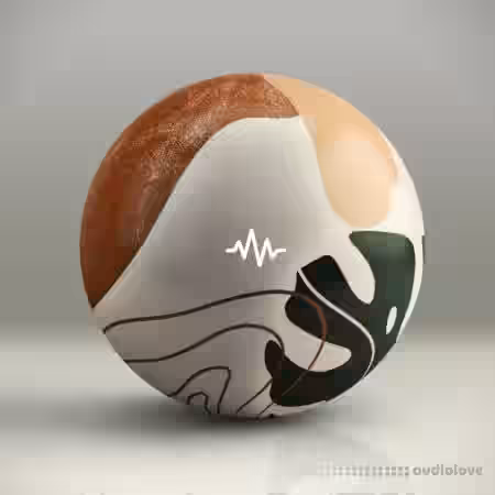 WavSupply nico baran Desert Loop Kit [WAV] - Sample Pack Artwork