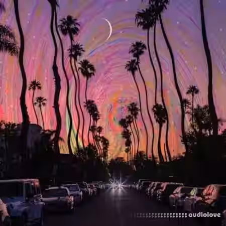 WavSupply nico baran Paris Vol.2 (Loop Kit) [WAV] - Sample Pack Artwork