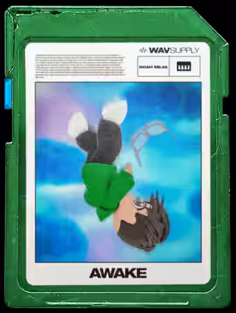 WavSupply Noah Mejia Awake (One Shot Kit + Vocal Chops) [WAV, MiDi] - Sample Pack Artwork