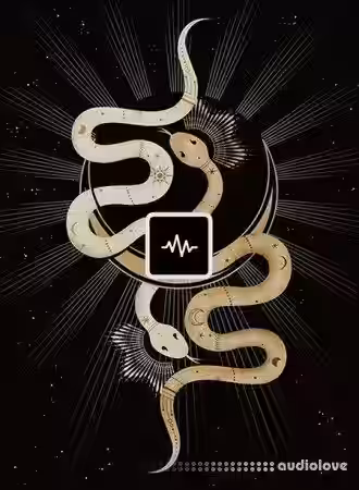 WavSupply Repko Sacred (Drum Kit) [WAV] - Sample Pack Artwork