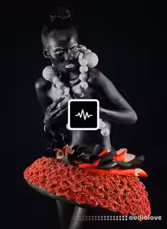 WavSupply Sidepce Brink (MIDI Kit) [MiDi] - Sample Pack Artwork