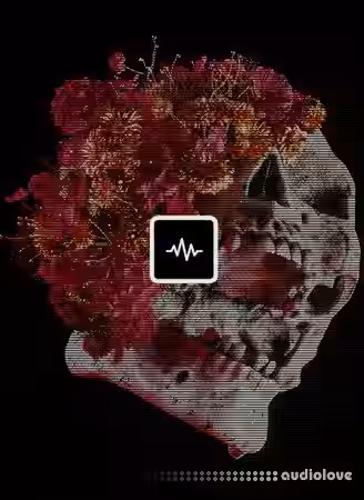 WavSupply Sidepce Stigma Vol.2 [WAV] - Sample Pack Artwork