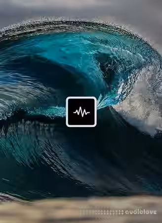 WavSupply TouchOfTrent Tsunami [Synth Presets] - Sample Pack Artwork