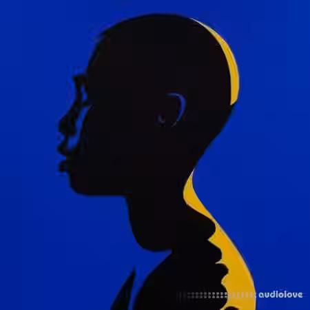 WAVY AFRO RELICX xi [WAV] - Sample Pack Artwork