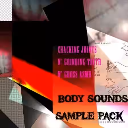 WeirdoOnTheBus System Body Sounds Sample Pack [WAV] - Sample Pack Artwork