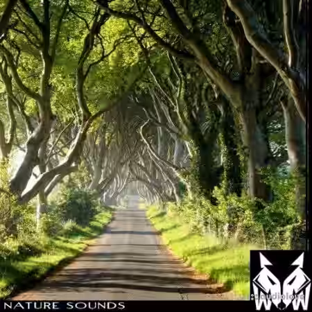 West Wolf Nature Sounds [WAV] - Sample Pack Artwork