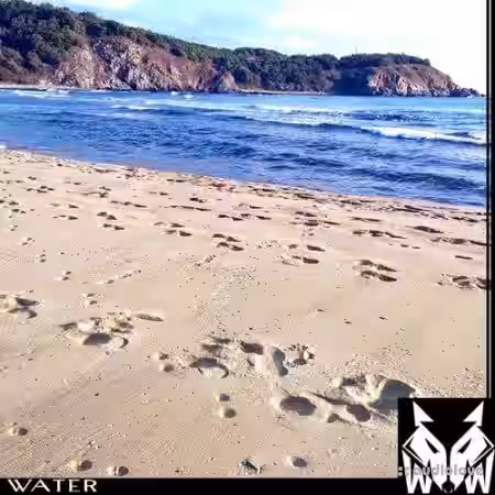 West Wolf Water [WAV] - Sample Pack Artwork