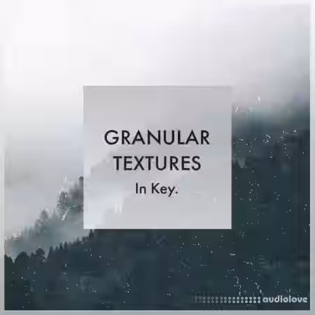 Whitenoise Records Granular Textures In Key [WAV] - Sample Pack Artwork
