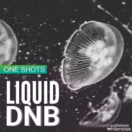 Whitenoise Records Liquid Drum & Bass ONESHOTS [WAV] - Sample Pack Artwork