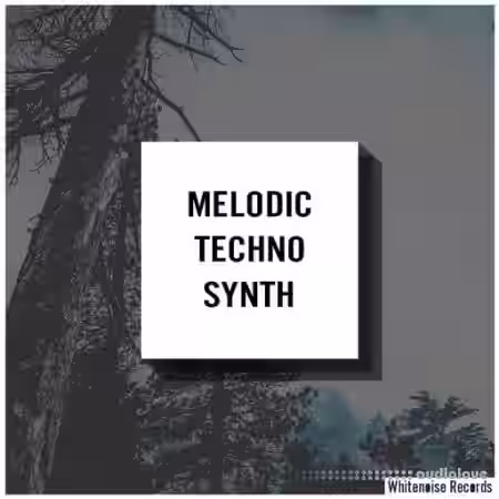Whitenoise Records Melodic Techno Synth [WAV] - Sample Pack Artwork