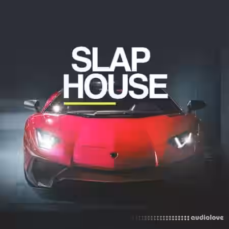 Whitenoise Records Slap House [WAV] - Sample Pack Artwork