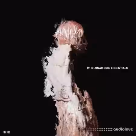 whylunar 808+ essentials [WAV, Synth Presets] - Sample Pack Artwork